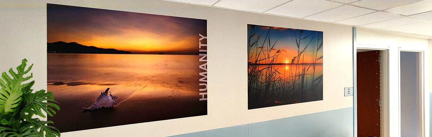 print of nature on a wall. Digital print signage