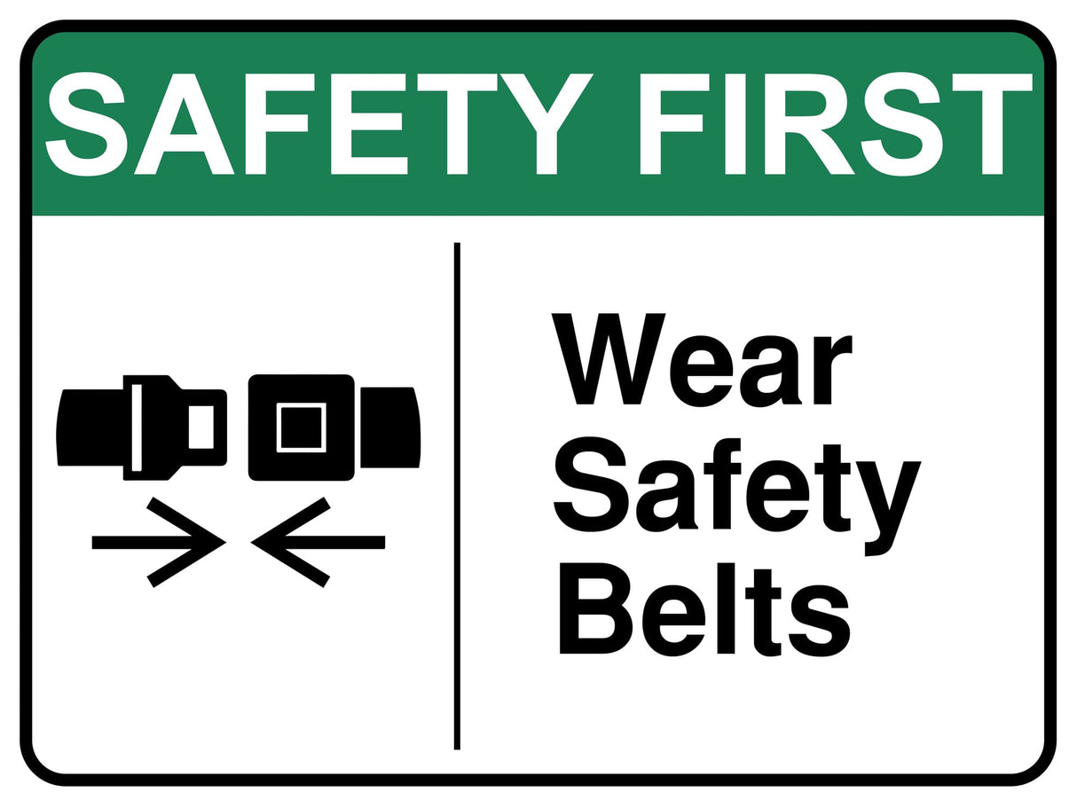 Wear Safety Belts
