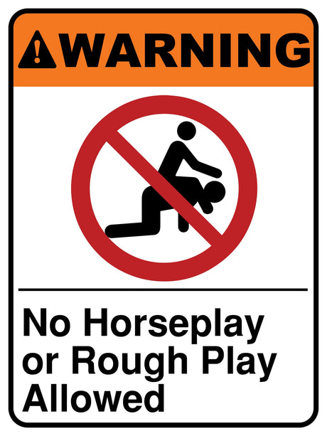No Horseplay Or Rough Play Allowed