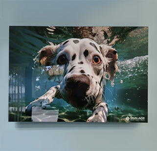 Art print on glass of a dog swimming underwater with a blue background